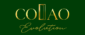 logo colao evolution